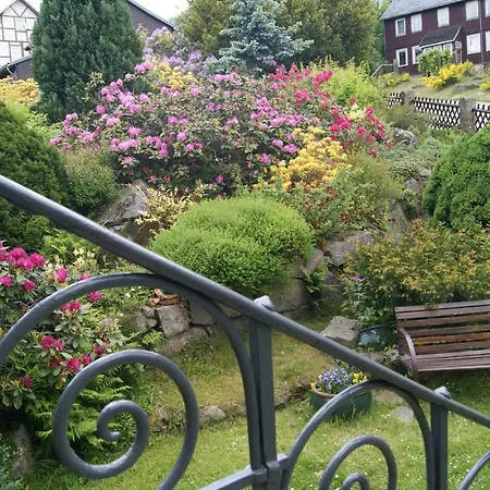 Apartmán 